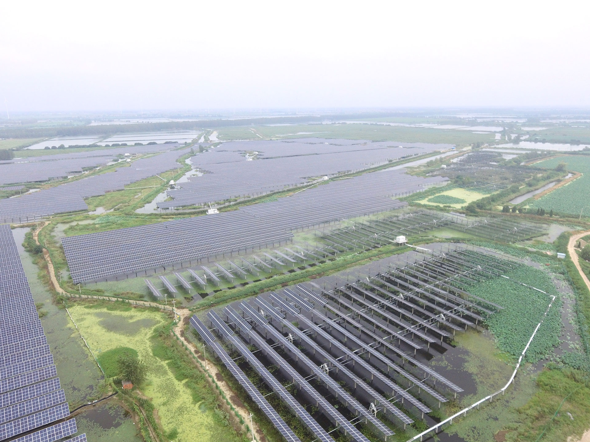 永利科技江苏扬州宝应光伏发电应用领跑基地2号100兆瓦项目