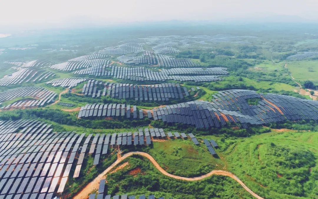 300MW！永利科技广东农垦红十月农场农光互补项目满发并网